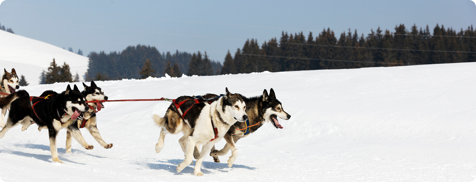  проект - 2023-09-04T014809