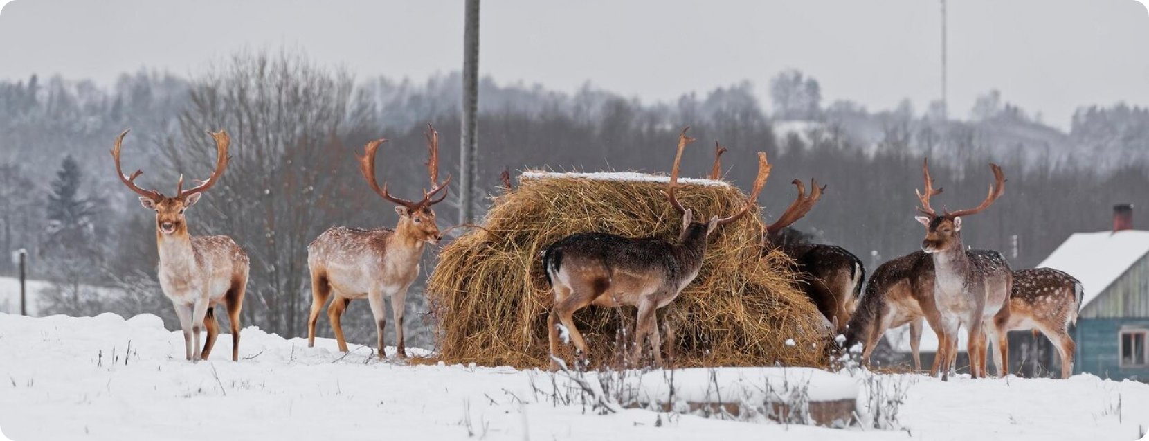  проект - 2023-09-04T015106