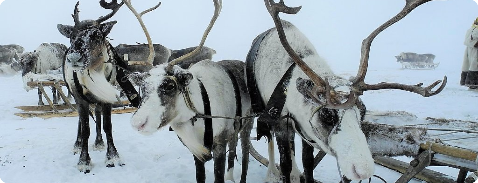  проект - 2023-09-04T015118