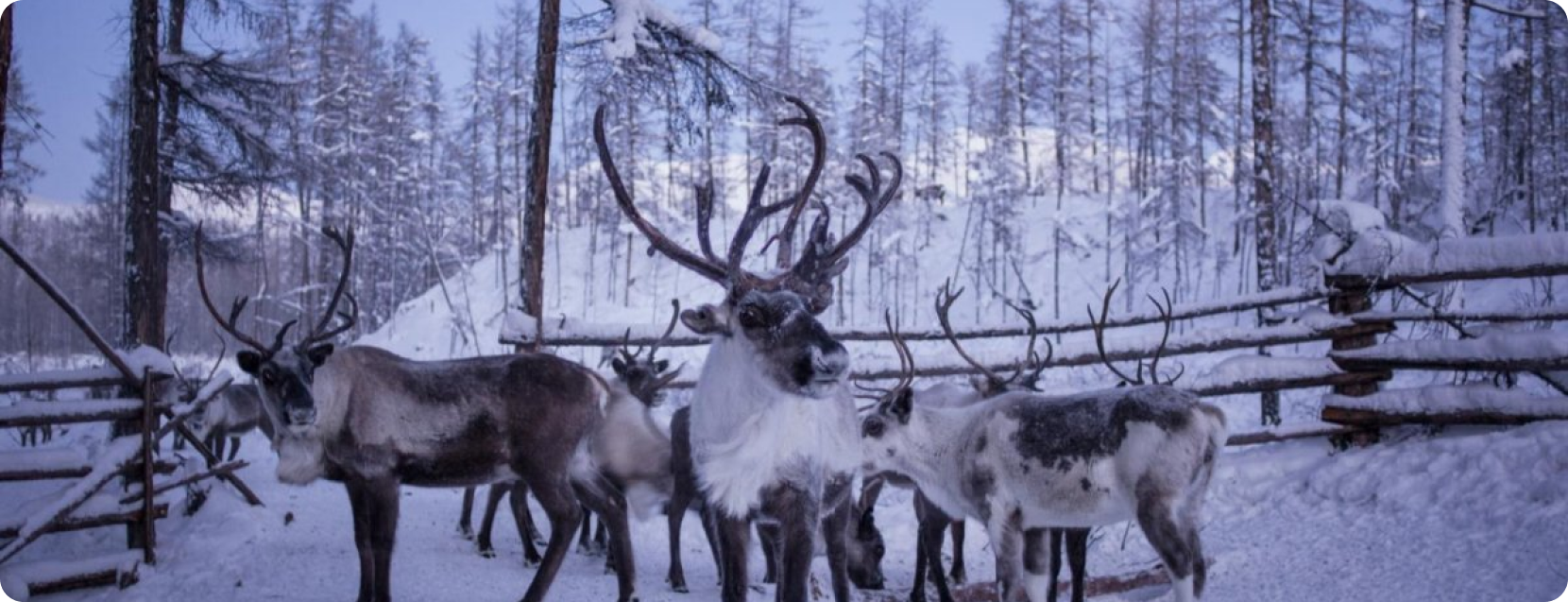  проект - 2023-09-04T015129