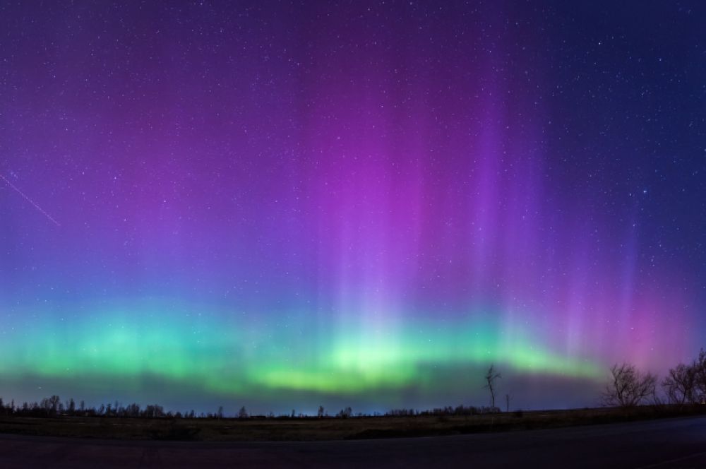 d113a62916fb63362b40e668b0e88f96